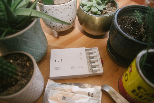 Plant-Based Diet and B12: Why Supplementation Is Non-Negotiable