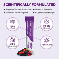  Go Wise Iron Powder ingredient infographic featuring 9 mg iron, vitamin C for absorption, B-complex support, and folic acid, highlighting a good iron supplement and gentle iron supplement for women seeking energy and fatigue support.
