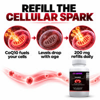 Go Wise CoQ10 200mg — Coenzyme Q10 Ubiquinone for Heart Health, Cellular Energy & Antioxidant Support — One a Day — 30 C