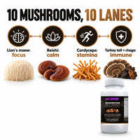 Go Wise Mushroom 10X Complex — Lion's Mane, Reishi, Cordyceps, Shiitake, Turkey Tail & Chaga — Focus & Immune Support — 