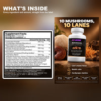 Go Wise Mushroom 10X Complex — Lion's Mane, Reishi, Cordyceps, Shiitake, Turkey Tail & Chaga — Focus & Immune Support — 