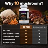 Go Wise Mushroom 10X Complex — Lion's Mane, Reishi, Cordyceps, Shiitake, Turkey Tail & Chaga — Focus & Immune Support — 