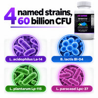 Go Wise Probiotic 60 Billion CFU — 4 Named Strains with MAKTREK Bi-Pass Delivery & FOS Prebiotic for Digestive, Gut Flor